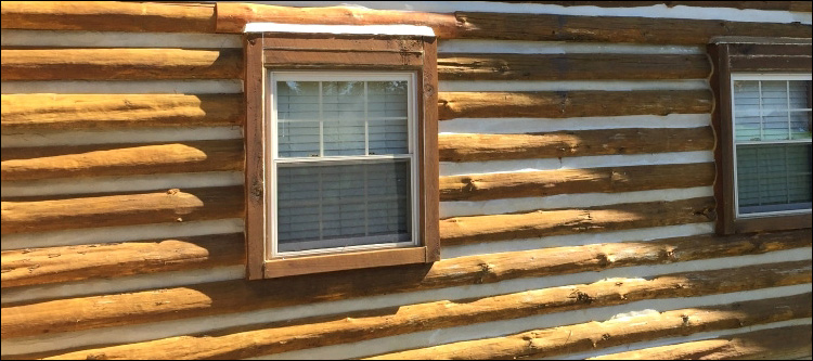 Log Home Whole Log Replacement  Brantley County, Georgia